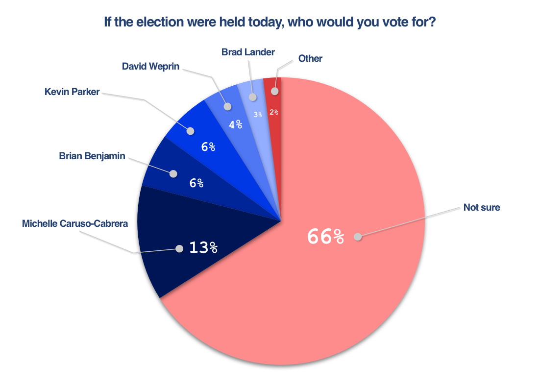 Schoen Cooperman Research Poll